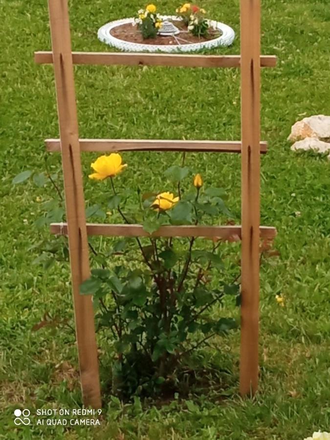 Yellow Rose Rakovica Extérieur photo